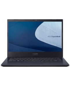 Asus Expertbook  P2451FA